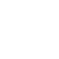 Icon - Dudeism